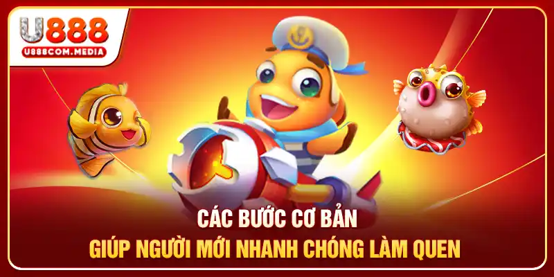 Các bước cơ bản giúp người mới nhanh chóng làm quen 